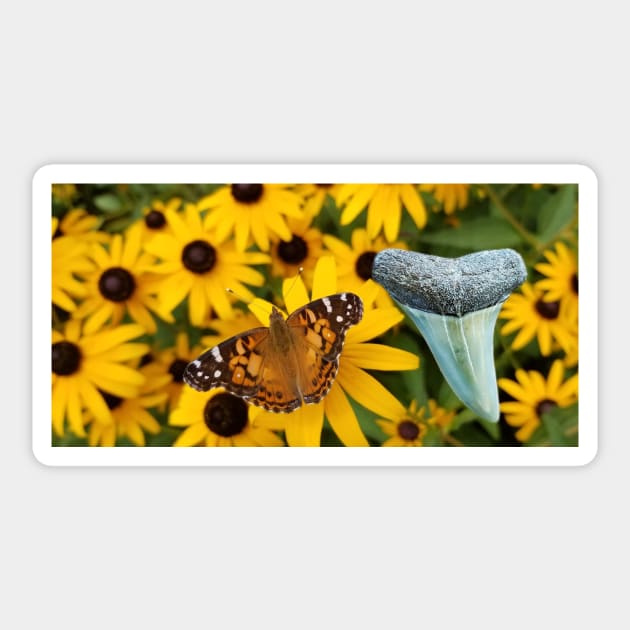 Flowers and Shark Tooth Fossil in the Garden Print Sticker by AtlanticFossils